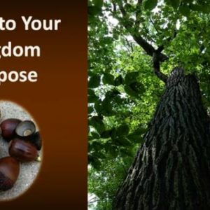 Arise to Your Kingdom Purpose