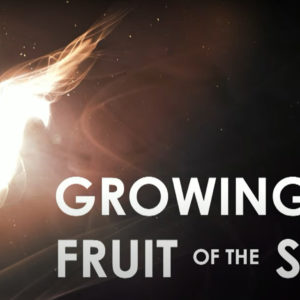 GROWING THE FRUIT OF THE SPIRIT