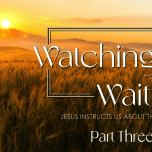 WATCHING AND WAITING – Part  Three