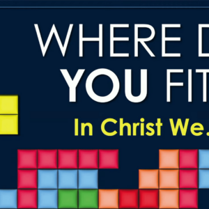 WHERE DO YOU FIT? In Christ We…