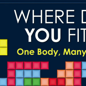 WHERE DO YOU FIT? One Body, Many Gifts