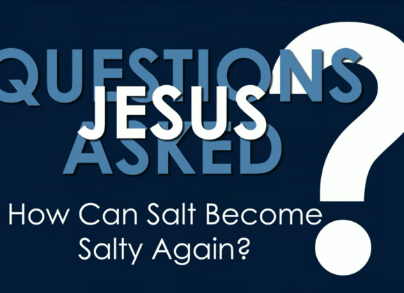 QUESTIONS JESUS ASKED – How Can Salt Become Salty Again?