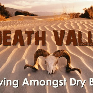 DEATH VALLEY – Living Amongst Dry Bones