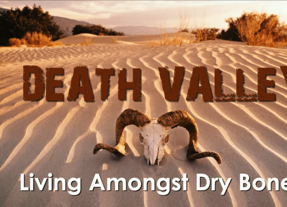 DEATH VALLEY – Living Amongst Dry Bones