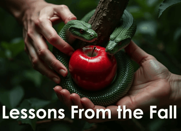 LESSONS FROM THE FALL LESSONS FROM THE FALL