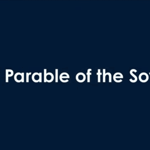 THE PARABLE OF THE SOWER THE PARABLE OF THE SOWER